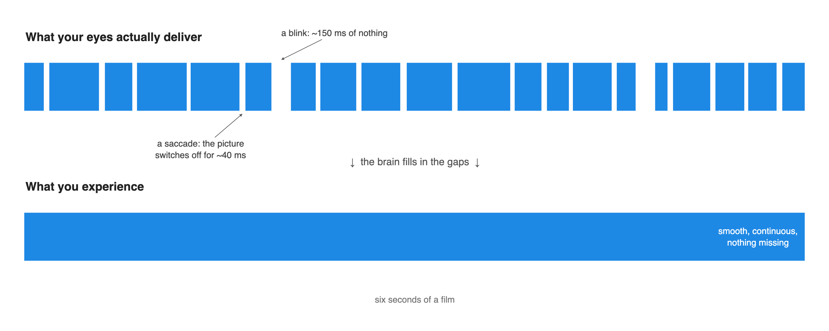 Two timelines of six seconds of a film. The top one, what your eyes actually deliver, is broken by white gaps at every saccade and blink. The bottom one, what you experience, is a single unbroken bar.