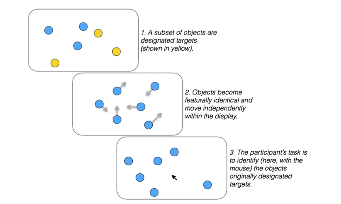 Three panels: targets flash yellow, all dots turn identical and move, participant clicks the targets