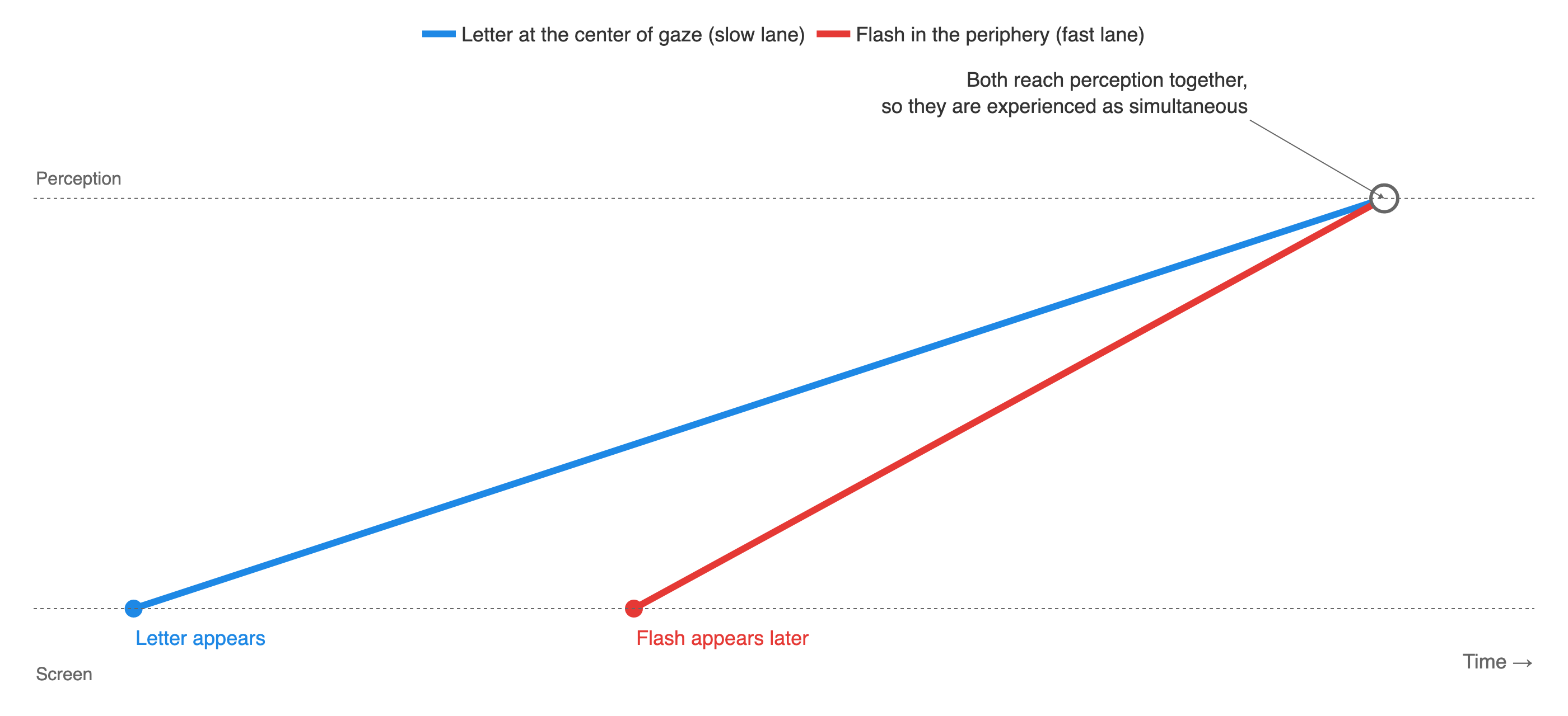 A race diagram: a letter at the center of gaze starts first but moves slowly toward perception, a flash in the periphery starts later but moves fast, and both arrive together
