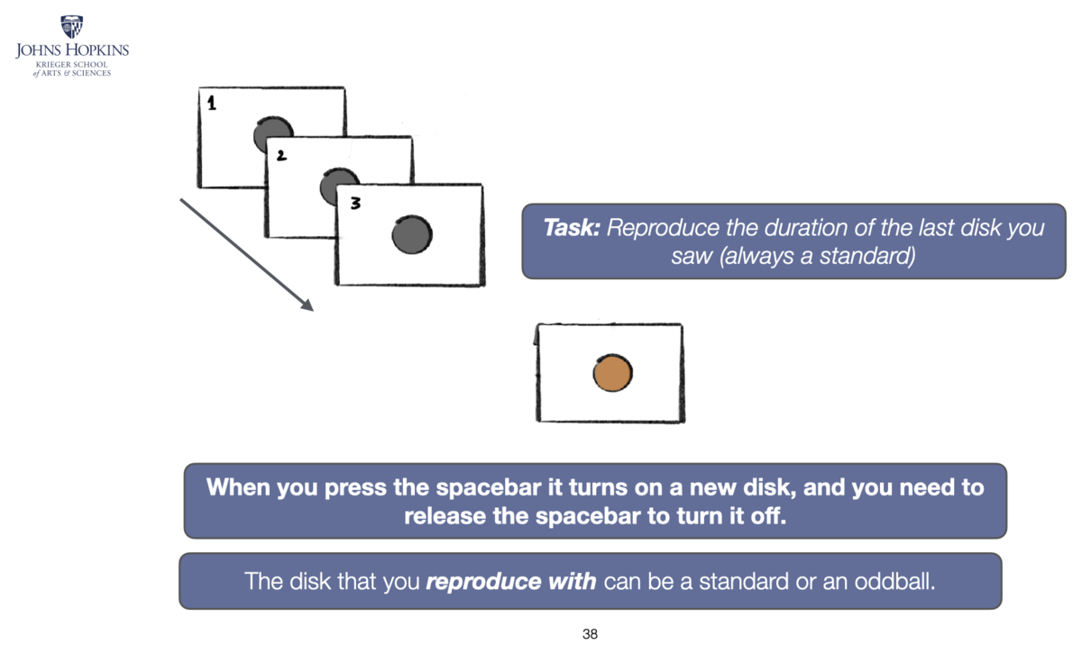 Task schematic: a sequence of numbered displays each showing a grey disk, followed by a reproduction display with an orange disk. Participants hold the spacebar to reproduce the duration of the last disk they saw